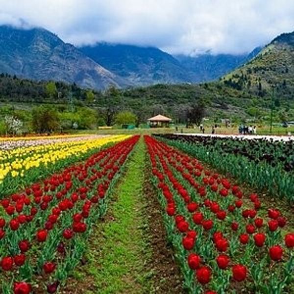 11 Days Great Lake Trek of Kashmir